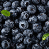 Blueberry Fruit Liquid Extract - Vaccinium corymbosum Product vendor
