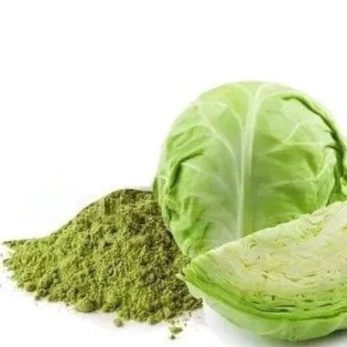 Cabbage Powder - Brassica oleracea - thewholesalerco-exporter