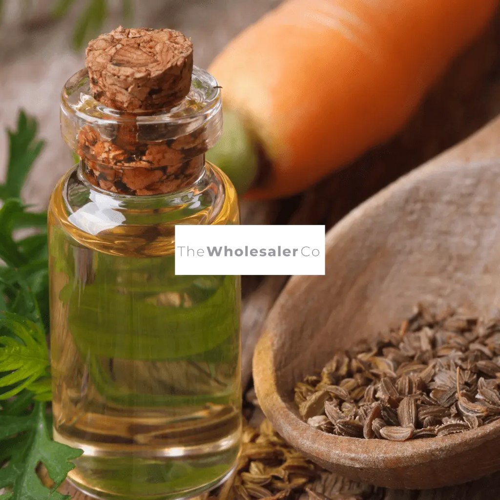 Carrot Seed Oil - Daucus carota - Essential Oil@WholesalerCo