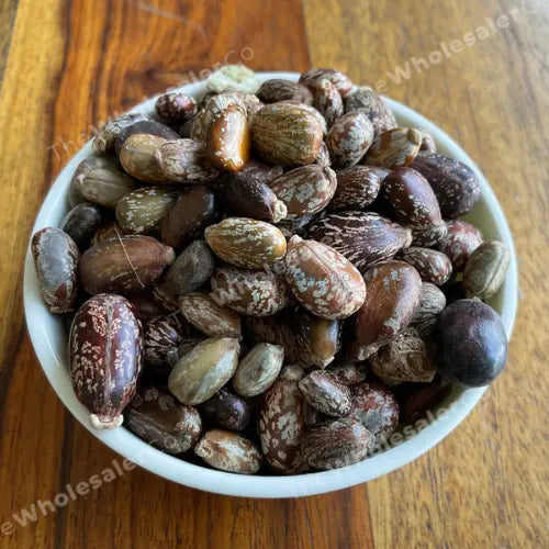 WholesalerCo-Beej Arandi - Ricinus Communis Linn - Castor Seeds