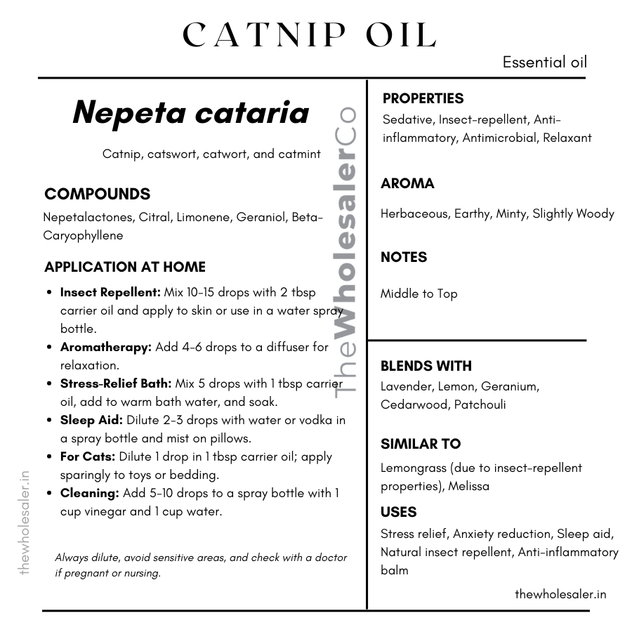 Nepeta cataria essential oil with  common name, active compounds, properties,aroma, notes,blends with, similar to and uses of catnip essential oil 