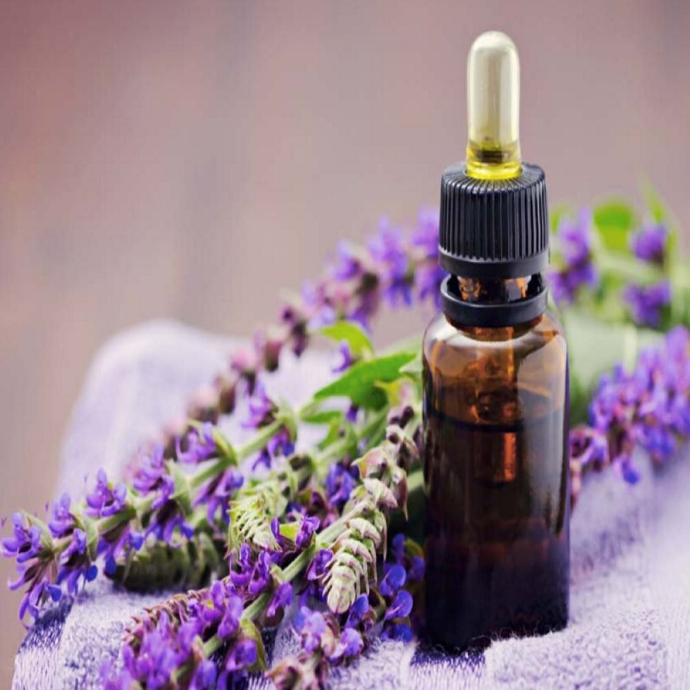 Clary Sage Oil - Salvia sclarea - Essential oil@TheWholesalerCo