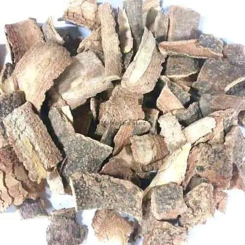 Conessi Bark Extract - Holarrhena Antidysenterica Product vendor