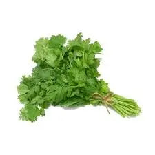 Coriander Leaf Extract - Coriandrum sativum Product vendor