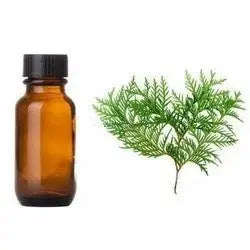 Cypress Oil - Cupressus sempervirens Product vendor