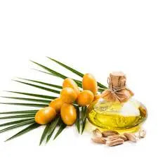 Date Seed Oil - Phoenix dactylifera Product vendor