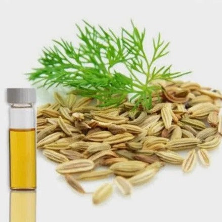 Dill Seed Oil - Anethum Graveolens - Essential oil@TheWholesalerCo