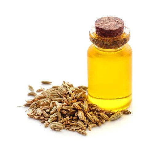 Fennel Seed Oil - Foeniculum vulgare - Essential oil@TheWholesalerCo