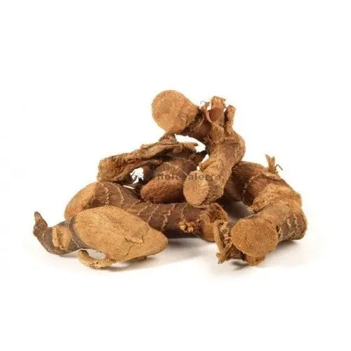 Galangal Extract - Alpinia galanga Product vendor