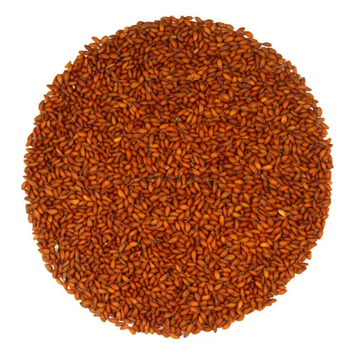 Halim Seeds Extract - Garden Cress - Lepidium Sativum Linn