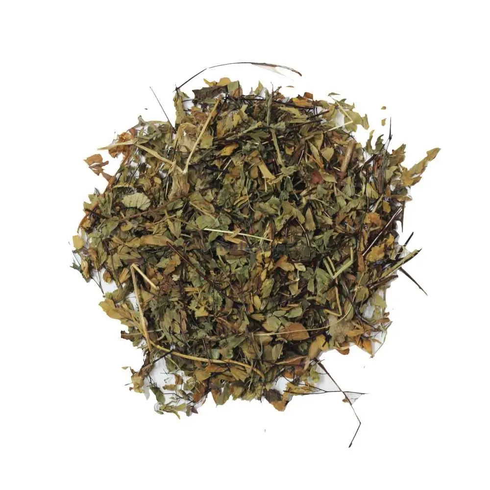 Hansraj Extract - Adiantum Capillus Veneris