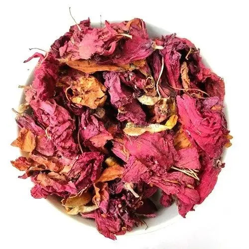 Hibiscus Flower Extract - Hibiscus sinensis