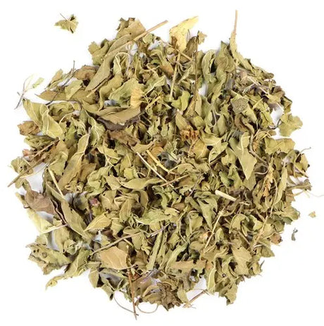Holy basil Liquid Extract - Tulsi - Ocimum Sanctum Product vendor