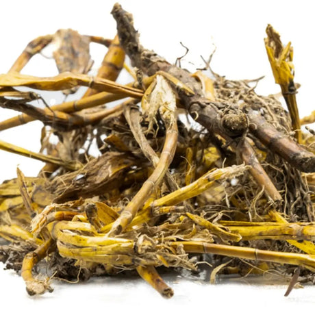Jivanti Root Liquid Extract - Leptadenia Reticulata Product vendor