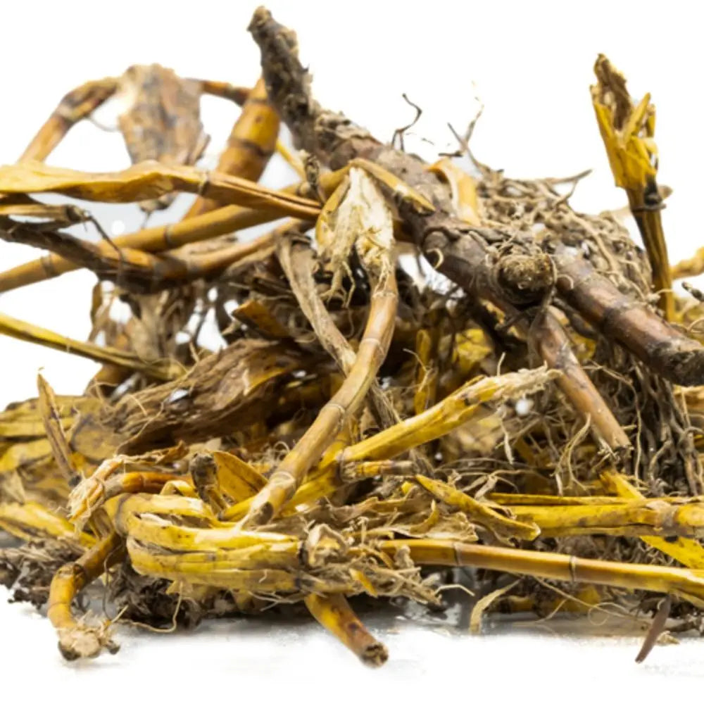 jivanti plant seeds Jivanti Root Water Soluble Extract