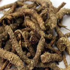 Kutki root - Katuki root - Picrorhiza Kurroa - Hellabore | 1Kg, 5Kg Wholesale price | WholesalerCo