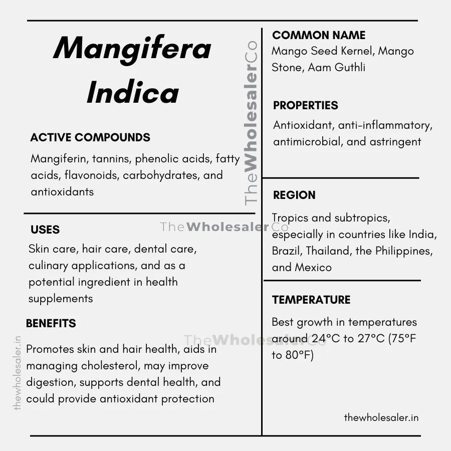 common name, Active compounds, properties, uses, benefits, growing region, temperature of Mango Seed Kernel how to use at home