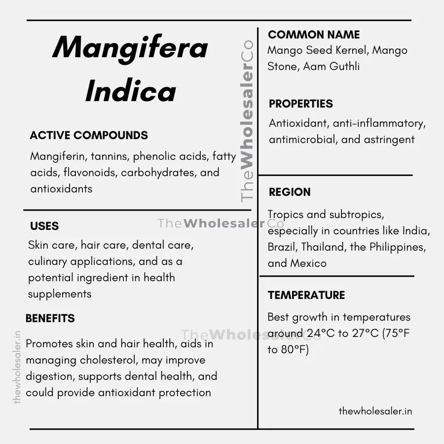 common name, Active compounds, properties, uses, benefits, growing region, temperature of Mango Seed Kernel how to use at home