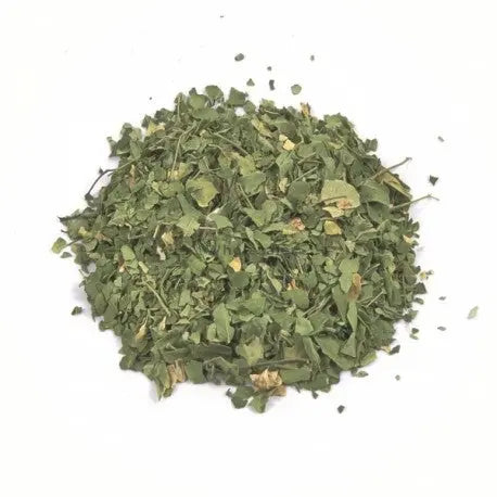 Moringa Leaves - Moringa oleifera - Sehjan Patta - Drumstick Leaves | WholesalerCo