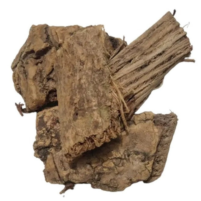 Moringa Bark Extract - Moringa oleifera-TheWholesalerCo