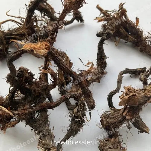 Nagarmotha Extract - Cyperus scariosus Product vendor