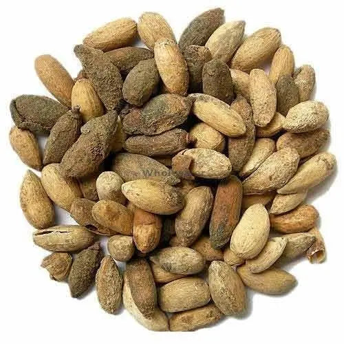 Neem Seed Extract - Azadirachta Indica Product vendor