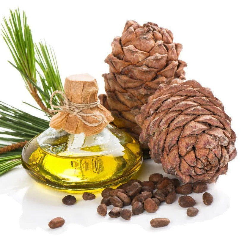 Pine Oil - Pinus sylvestris - Essential oil@TheWholesalerCo