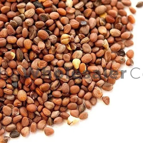 WholesalerCo-Edible Radish Seeds - Beej Mooli - Beej Muli - Raphanus sativus