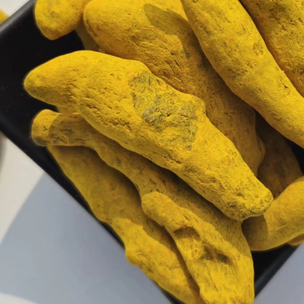 TheWholesalerCo_RawTurmericWhole-Kachchihaldi-Curcumalonga