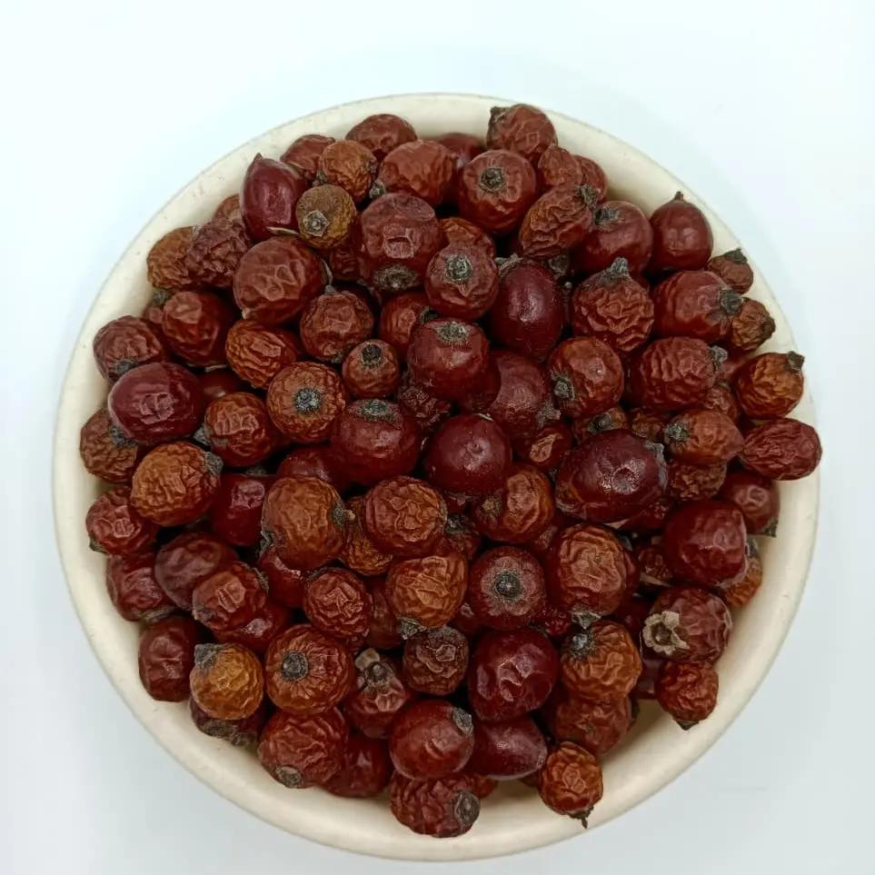 Rosehip, Whole - Rosa canina Bulk Supplier@TheWholesaleCo Prices