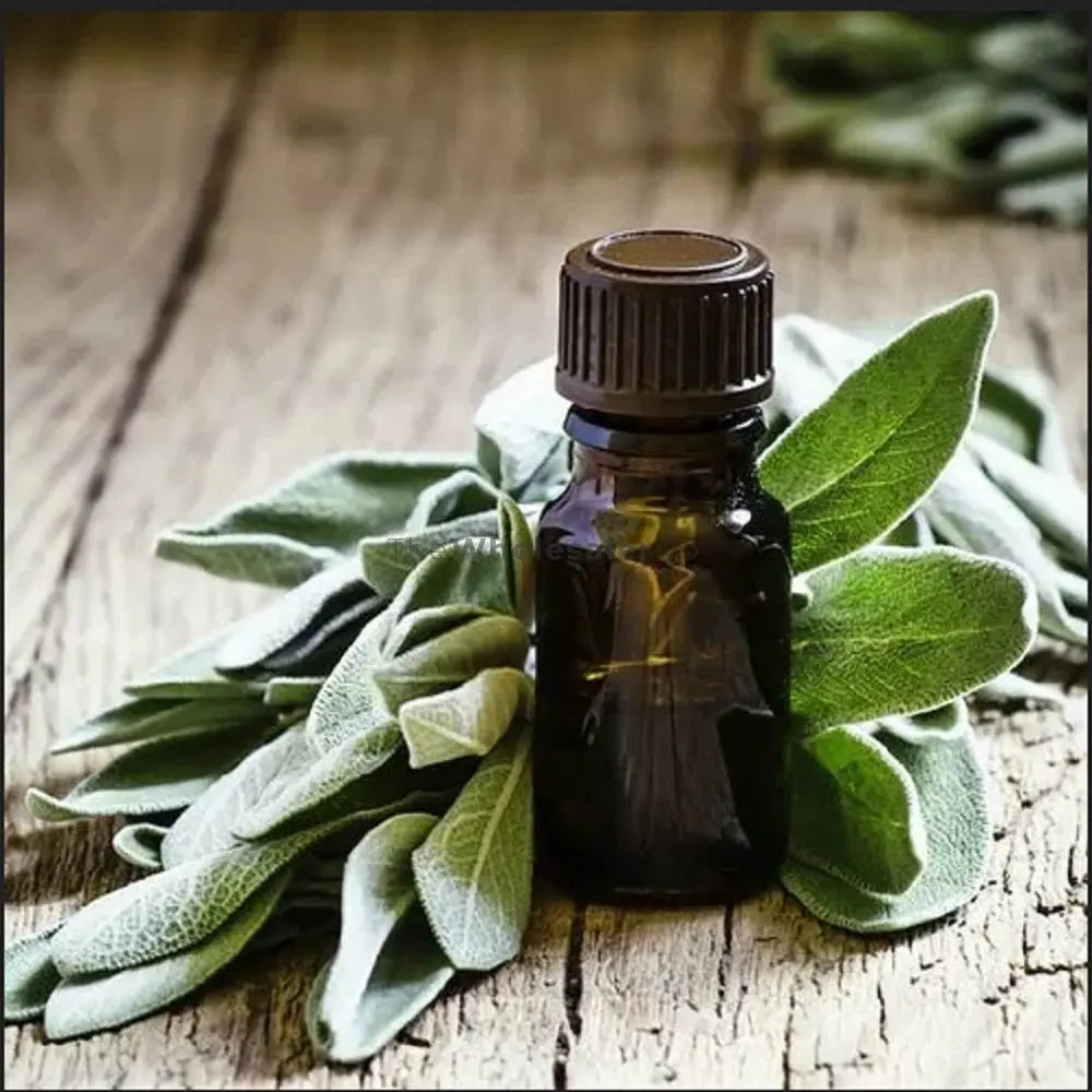 Sage Oil - Salvia officinalis - Essential oil@WholesalerCo