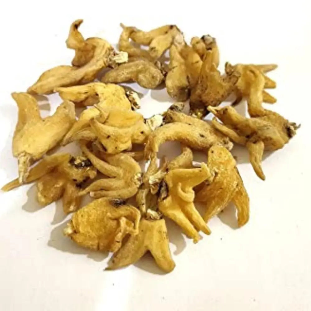 Salam Panja Extract - Dactylorhiza hatagirea Product vendor