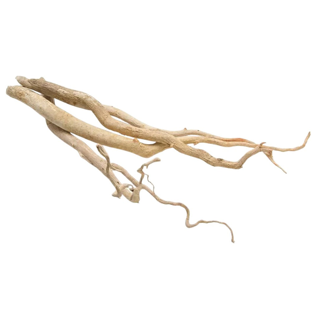 TheWholesalerCo-Tongkat Ali Powder - Eurycoma longifolia - Longjack Root