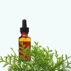 Thuja Oil