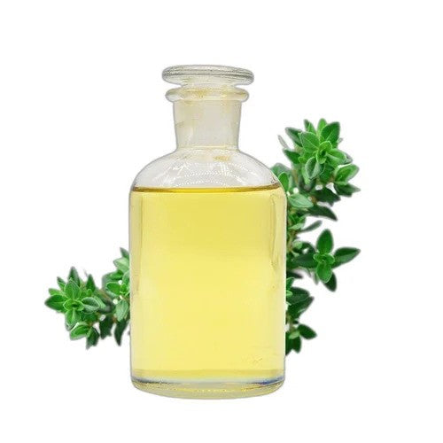 Thyme Oil - Thymus vulgaris - Essential oil@TheWholesalerCo