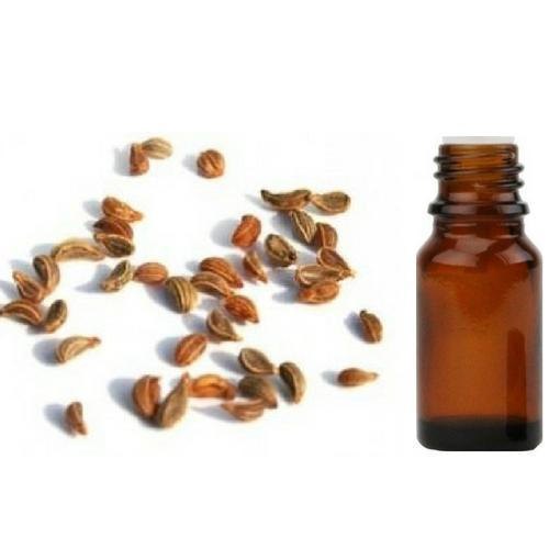 Tomar Seed Oil - Zanthoxylum alatum - Essential Oil@TheWholesalerCo