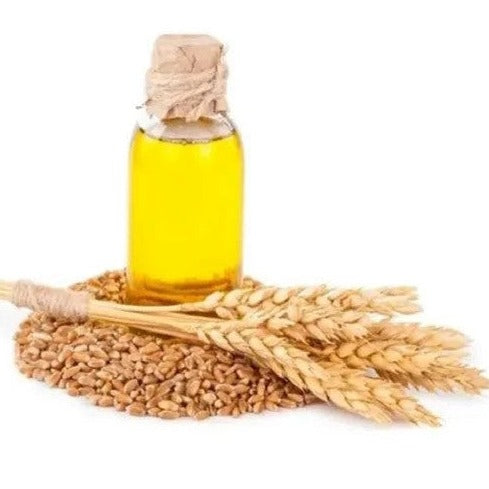 Wheat germ Oil - Triticum aestivum - Essential oil@TheWholesalerCo