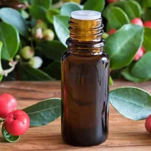 Wintergreen Oil - Gaultheria procumbens - Essential oil@WholesalerCo