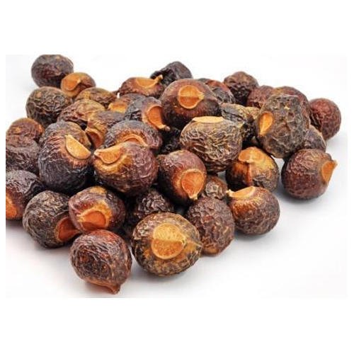 Reetha - Ritha - Soap Nut - Soapnut - Acacia Concinna | TheWholesalerCo