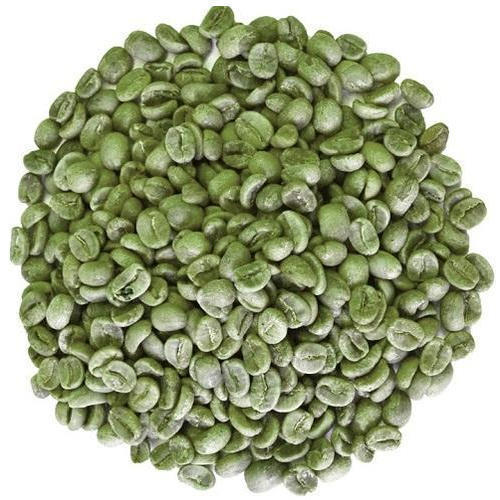 Green Coffee Extract - Coffea arabica