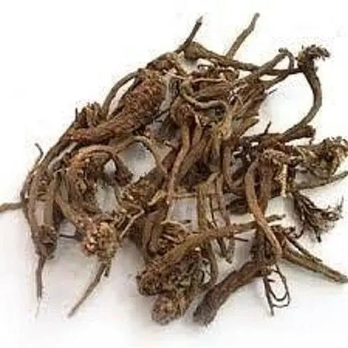 Arand Mool - Castor Root - Arandi Jadd - Erand Mool - Ricinus Communes | TheWholesalerCo |