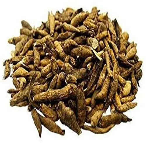 Atish Kadwi - Ativisha Bitter - Atiwisha - Ateesh - Aconitum heterophyllum | TheWholesalerCo