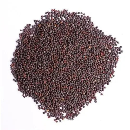 Black Mustard - Sarso Kali - Brassica Nigra Product vendor