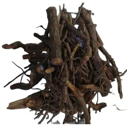 Chitrak Roots - Chita Mool - Chita Root - Chita Jadd - Plumbago Indica Root | TheWholesalerCo