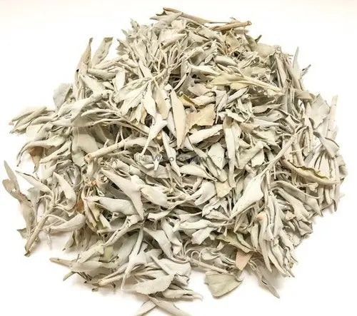 Sauge Officinale (salvia Officinalis) Bio - Graines Baumaux Sauge Officinale (salvia Officinalis) Bio - Graines Baumaux