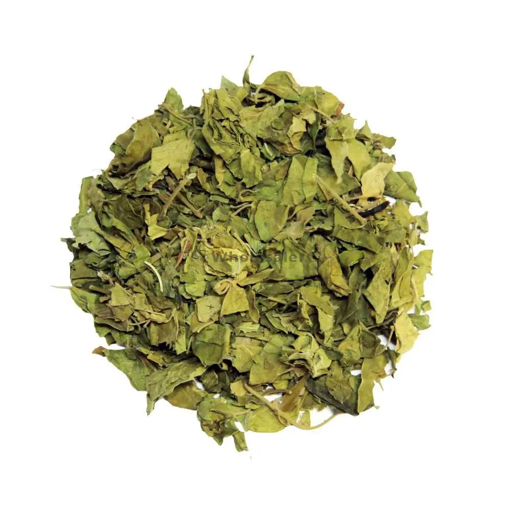 Gurmar Leaves - Gudmar Leaves - Gymnema Sylvestre - Periploca Of The ...