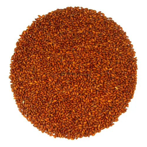 halim seeds plant Halim Seeds