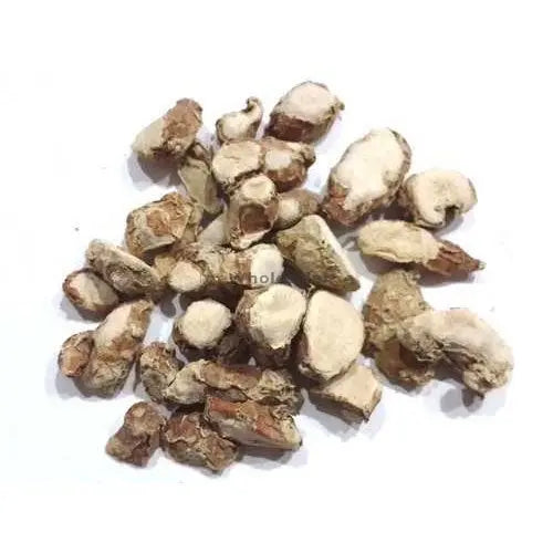 Kapoor Kachri - Kapur Kachri - Ekangi - Hedychium Spicatum - Spiked Ginger Lily | TheWholesalerCo |