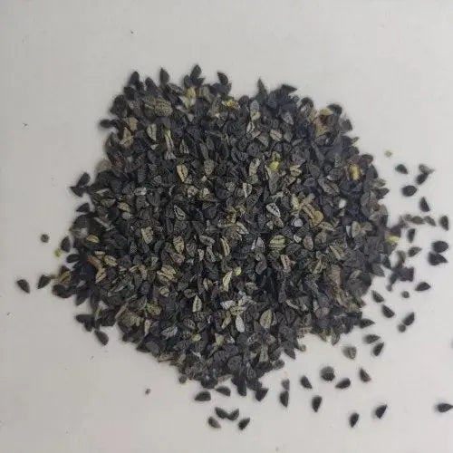 Khareti Seeds - Kharaiti Beej - Balaa Beej - Atibala - Abutilon Indicum Product vendor