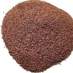 Lajwanti Seeds - Chuimui - Mimosa Pudica